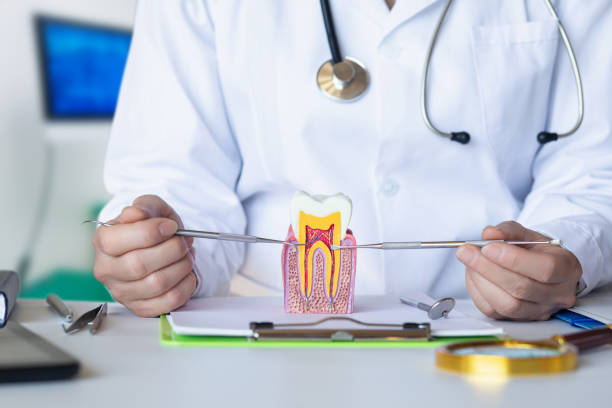 Best Emergency Care for Gum Disease in Dysart, IA